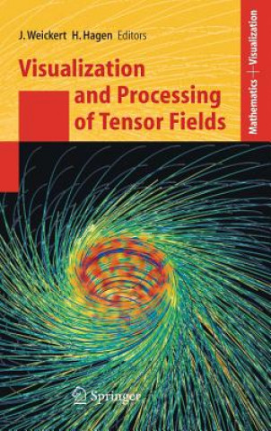 Книга Visualization and Processing of Tensor Fields Joachim Weickert
