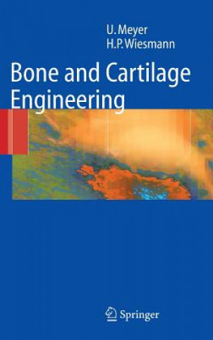 Kniha Bone and Cartilage Engineering Ulrich Meyer