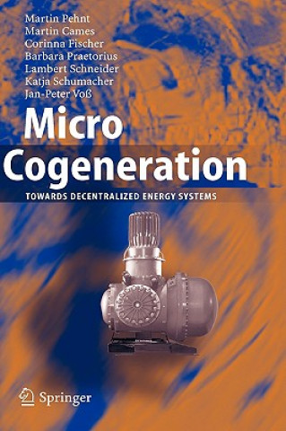 Carte Micro Cogeneration Martin Pehnt