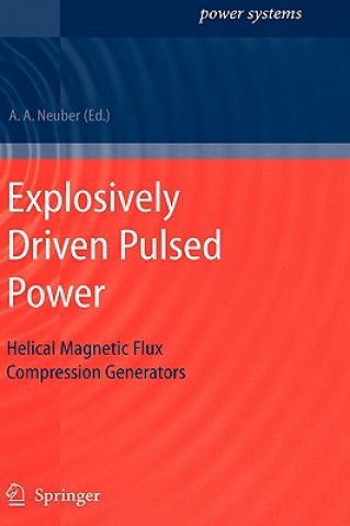 Könyv Explosively Driven Pulsed Power Andreas A. Neuber