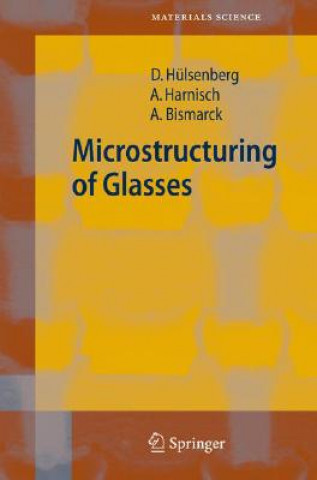 Kniha Microstructuring of Glasses Dagmar Hülsenberg