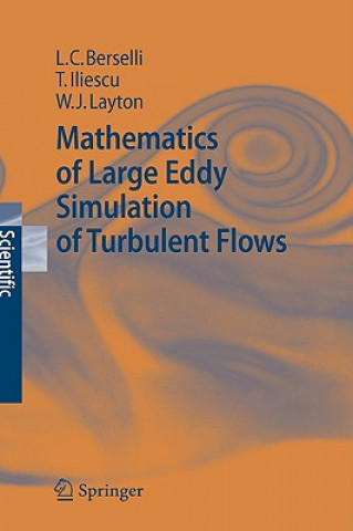 Könyv Mathematics of Large Eddy Simulation of Turbulent Flows Luigi C. Berselli