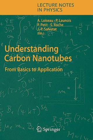 Könyv Understanding Carbon Nanotubes Annick Loiseau