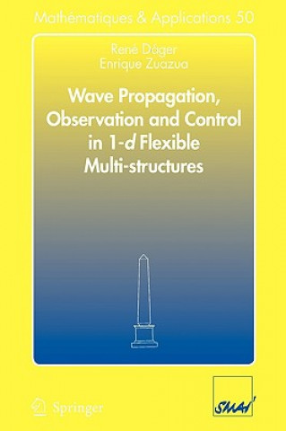 Książka Wave Propagation, Observation and Control in 1-d Flexible Multi-Structures Rene Dager