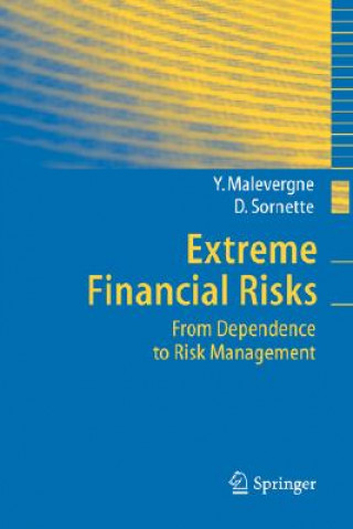 Carte Extreme Financial Risks Yannick Malevergne