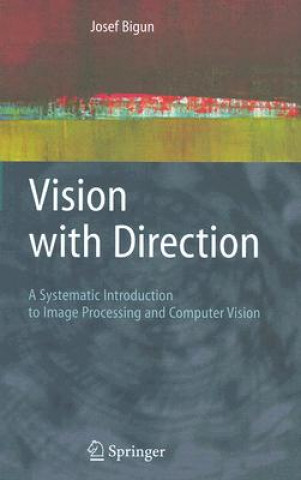 Kniha Vision with Direction Josef Bigun
