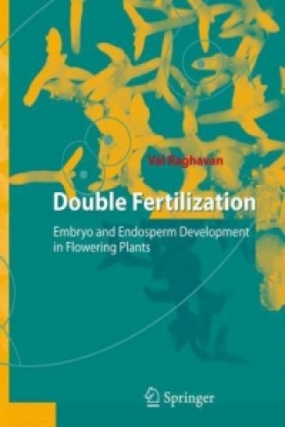 Könyv Double Fertilization Valayamanghat Raghavan