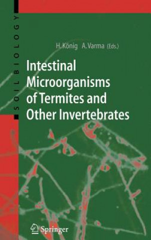 Kniha Intestinal Microorganisms of Termites and Other Invertebrates H. König