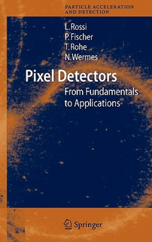 Libro Pixel Detectors Leonardo Rossi