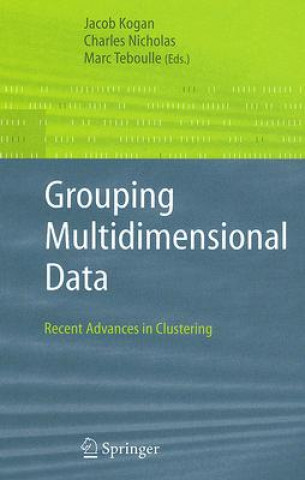 Buch Grouping Multidimensional Data Jacob Kogan