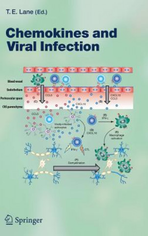 Книга Chemokines and Viral Infection Thomas E. Lane