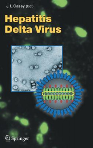 Könyv Hepatitis Delta Virus John Casey