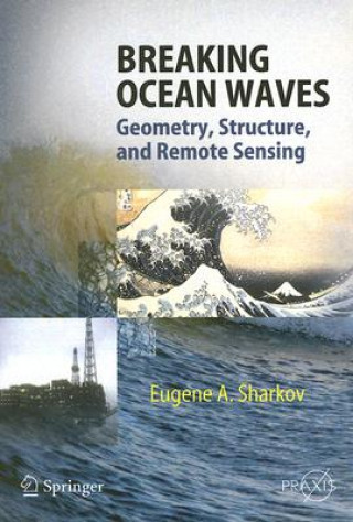Könyv Breaking Ocean Waves Eugene Sharkov
