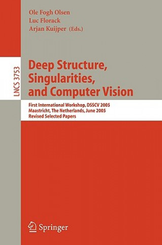 Knjiga Deep Structure, Singularities, and Computer Vision Ole Fogh Olsen