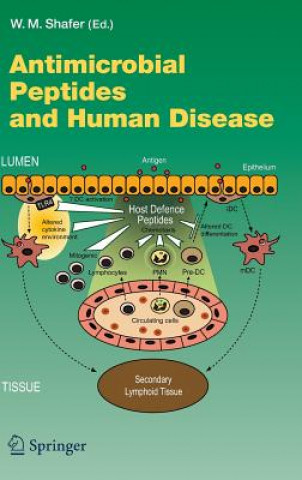 Книга Antimicrobial Peptides and Human Disease William M. Shafer