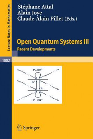 Carte Open Quantum Systems III. Vol.3 Stéphane Attal