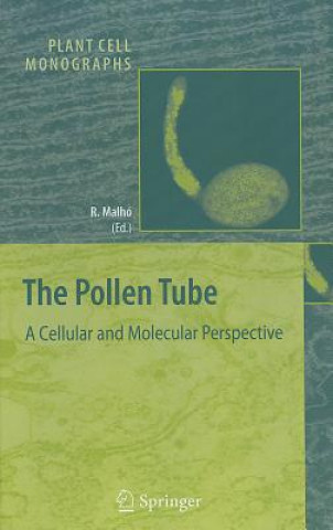 Könyv Pollen Tube Rui Malhó