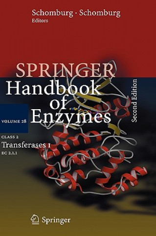 Книга Class 2 Transferases I Dietmar Schomburg