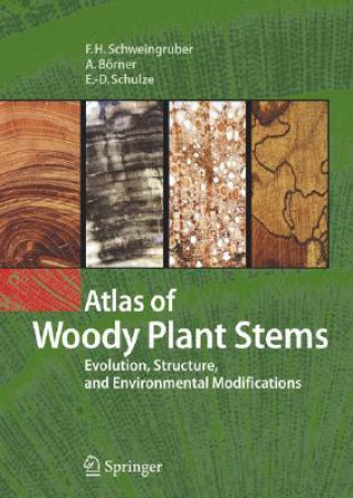 Kniha Atlas of Woody Plant Stems Fritz H. Schweingruber