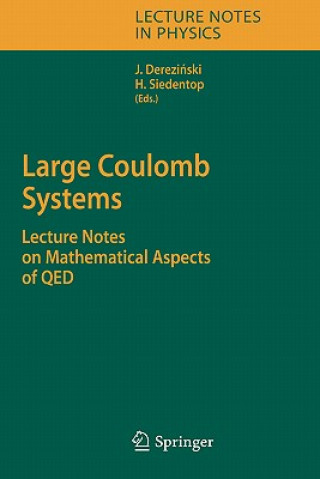 Kniha Large Coulomb Systems Jan Derezinski