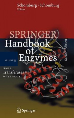 Boek Class 2  Transferases VI Dietmar Schomburg