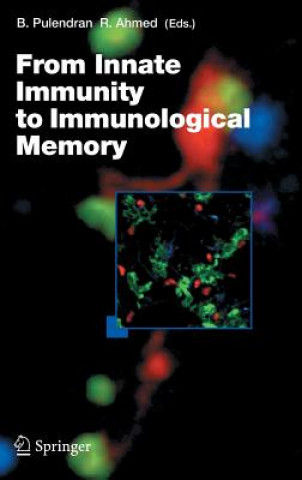 Kniha From Innate Immunity to Immunological Memory Bali Pulendran