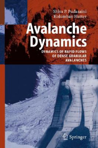 Buch Avalanche Dynamics S. P. Pudasaini