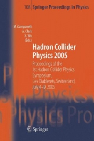 Kniha Hadron Collider Physics 2005 Mario Campanelli