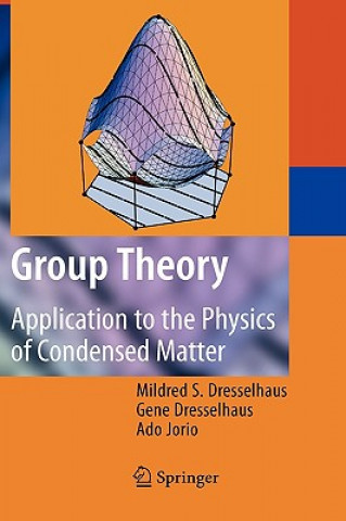 Kniha Group Theory Mildred S. Dresselhaus