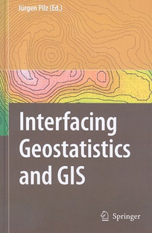 Könyv Interfacing Geostatstics and GIS Juergen Pilz
