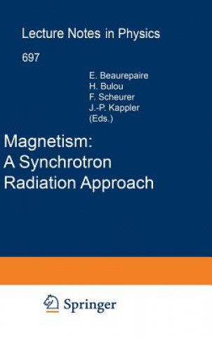 Libro Magnetism: A Synchrotron Radiation Approach Eric Beaurepaire