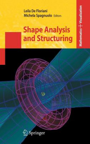 Livre Shape Analysis and Structuring Leila de Floriani