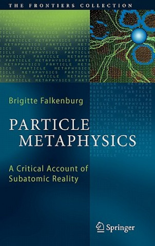 Carte Particle Metaphysics Brigitte Falkenburg