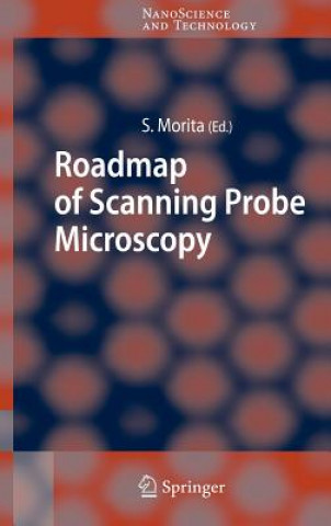 Kniha Roadmap of Scanning Probe Microscopy Seizo Morita