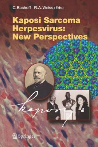 Kniha Kaposi Sarcoma Herpesvirus: New Perspectives C. Boshoff