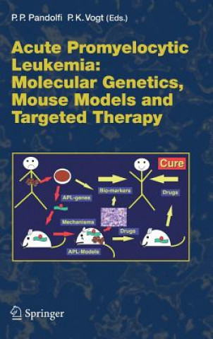 Buch Acute Promyelitic Leukemia Pier Paolo Pandolfi