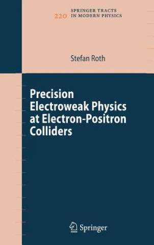 Buch Precision Electroweak Physics at Electron-Positron Colliders Stefan Roth