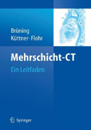 Kniha Mehrschicht-Ct Roland Brüning