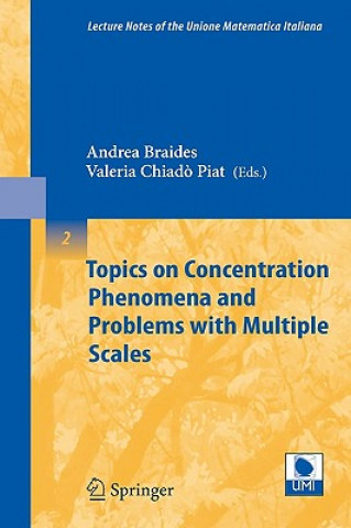 Książka Topics on Concentration Phenomena and Problems with Multiple Scales Andrea Braides