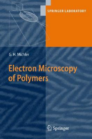 Buch Electron Microscopy of Polymers G. Michler