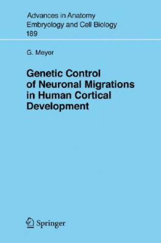Könyv Genetic Control of Neuronal Migrations in Human Cortical Development Gundela Meyer