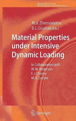 Könyv Material Properties under Intensive Dynamic Loading M.V. Zhernokletov