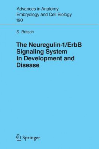 Kniha Neuregulin-I/ErbB Signaling System in Development and Disease Stefan Britsch