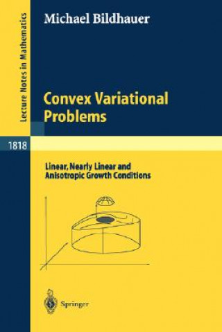 Knjiga Convex Variational Problems M. Bildhauer