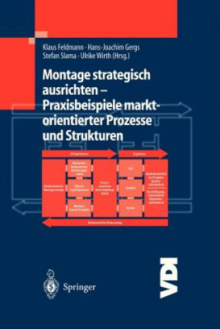 Carte Montage Strategisch Ausrichten - Praxisbeispiele Marktorientierter Prozesse Und Strukturen Klaus Feldmann