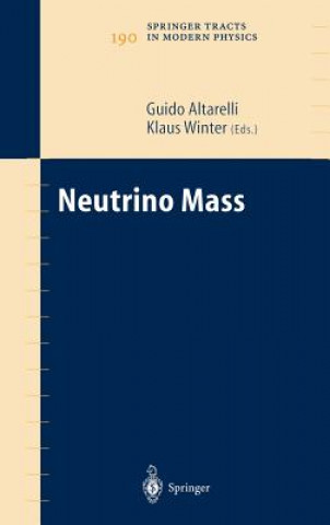 Książka Neutrino Mass G. Altarelli