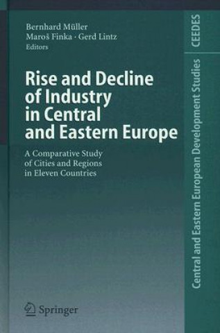 Könyv Rise and Decline of Industry in Central and Eastern Europe Bernhard Müller