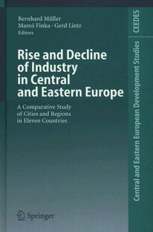 Buch Rise and Decline of Industry in Central and Eastern Europe Bernhard Müller