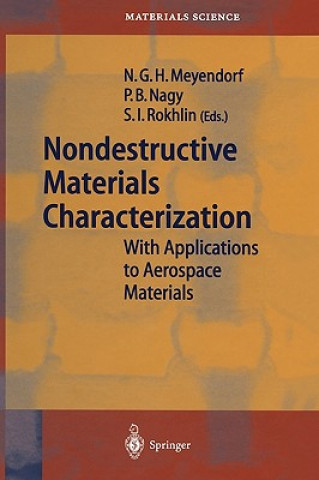 Carte Nondestructive Materials Characterization Norbert G. H. Meyendorf