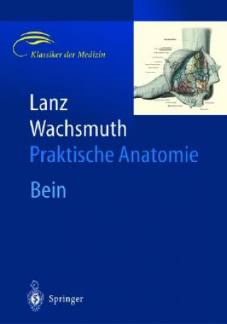 Buch Bein Und Statik Titus von Lanz